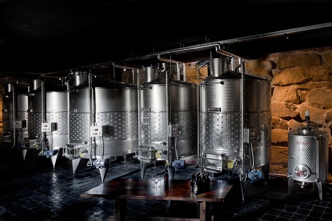 Discover Sustainable Wines in a Guided Tour and Tasting - Pomaio near Arezzo: a smart Tuscany wine plan without the long haul