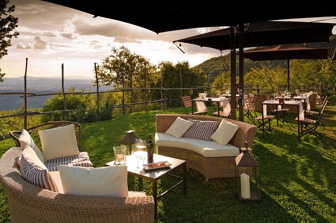 Discover Sustainable Wines in a Guided Tour and Tasting - Guides, group size, and why the tour feels personal