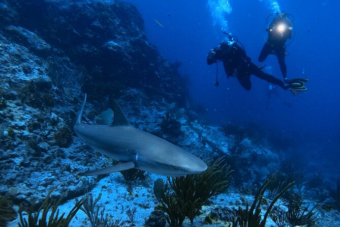 DiveCarib - An Eco-Friendly Certified Diver Trip in Antigua - Getting There at 8:30am: The Dockyard Start