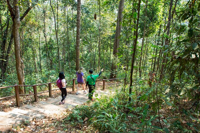 Doi Inthanon National Park Eco-Friendly Full Day Tour - Stop 3: Twin Royal Stupas, Long Views, and Sacred Details