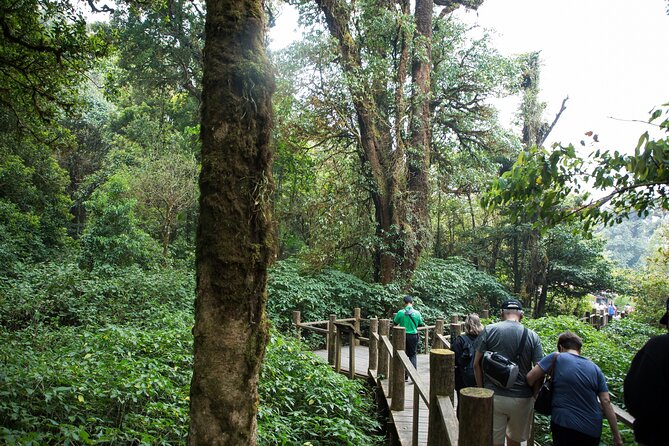 Doi Inthanon National Park Eco-Friendly Full Day Tour - Stop 4: Mae Klang Luang Homestay and Traditional Coffee Brewing