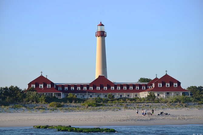 Dolphin and Bird Watching Ecotour Cruise - Quick hits you’ll care about