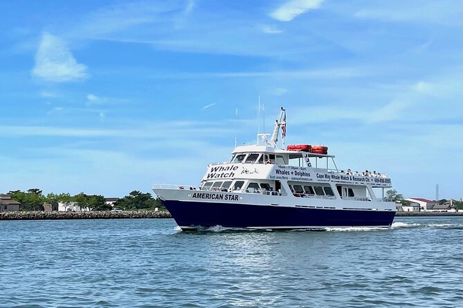 Dolphin and Bird Watching Ecotour Cruise - Cape May waters: why this ecotour works so well