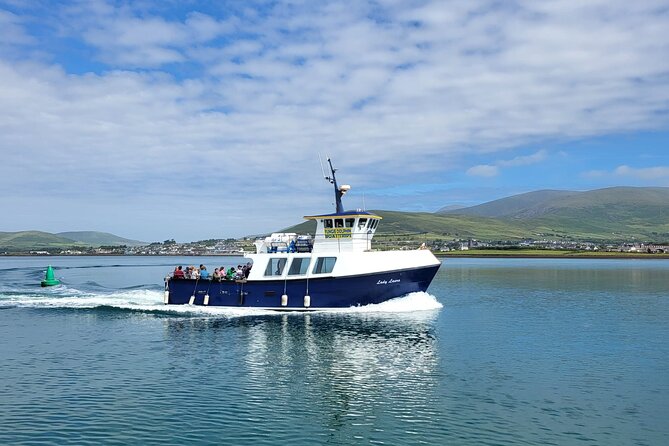 Dolphin Discovery Eco Tour - Seabird spotting: the bonus skill you’ll take home