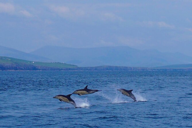 Dolphin Discovery Eco Tour - 350-million-year cliffs: the scenery that doesn’t depend on dolphins