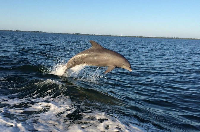 Dolphin Watching Nature Cruise and Eco Tour from Hubbard's Marina in John's Pass - The 90-minute route: what you’ll see near John’s Pass Village & Boardwalk
