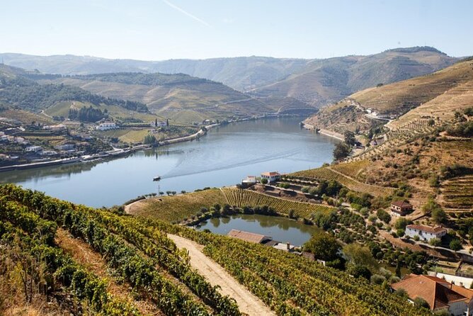 Douro Valley Exclusive and Sustainable Experience from Porto - A Small-Group Douro Day From Porto (With Real-Time Pickup Adjustments)