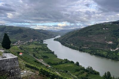 Douro Valley Exclusive and Sustainable Experience from Porto - Quinta Seara d’Ordens: Wine Tasting That Feels Guided, Not Chaotic