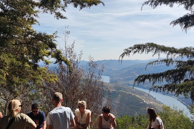 Douro Valley Exclusive and Sustainable Experience from Porto - Who This Douro Valley Experience Fits Best