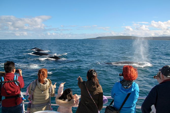 Dunsborough Whale Watching Eco Tour - Key things to know before you go