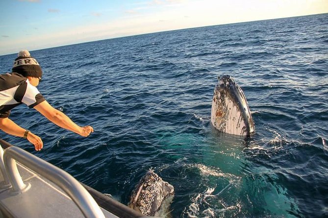 Dunsborough Whale Watching Eco Tour - Who This Tour Fits Best (and Who Might Want Another Option)