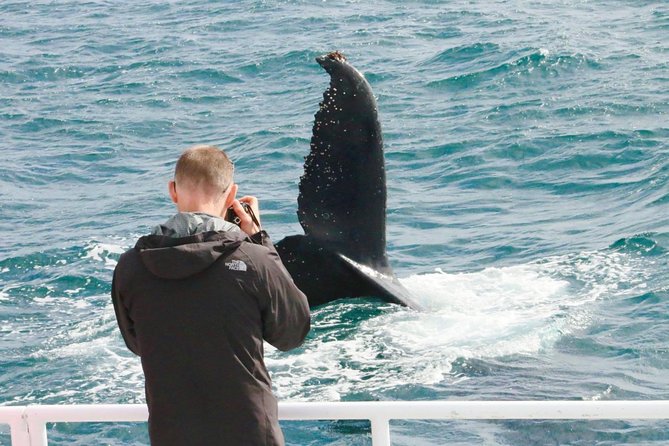 Dunsborough Whale Watching Eco Tour - The Bottom Line: Should You Book Dunsborough Whale Watching Eco Tour?