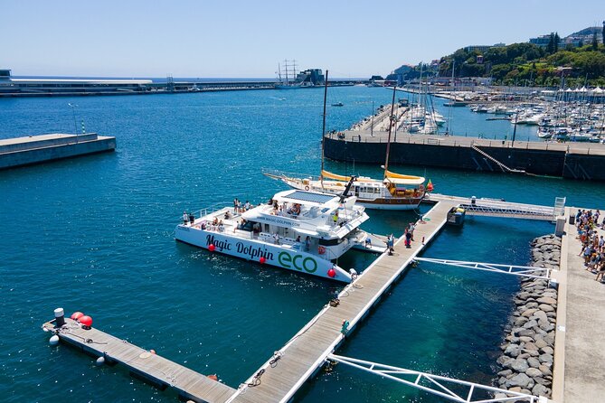 Eco-Friendly Catamaran Dolphin and Whale Watching - The Cabo Girão and south coast add-on: views plus stories