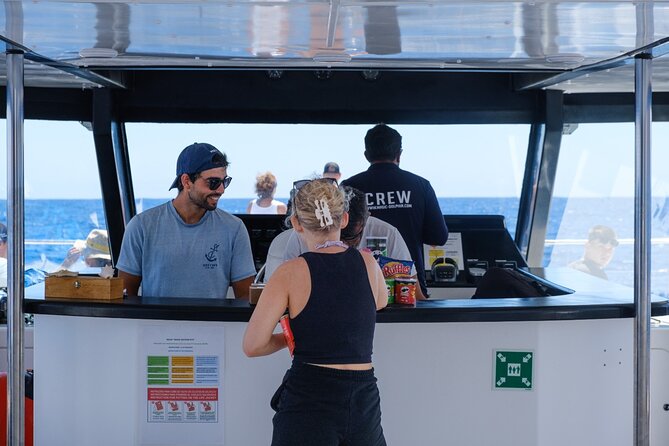 Eco-Friendly Catamaran Dolphin and Whale Watching - Drinks and snacks: small cost, easy convenience