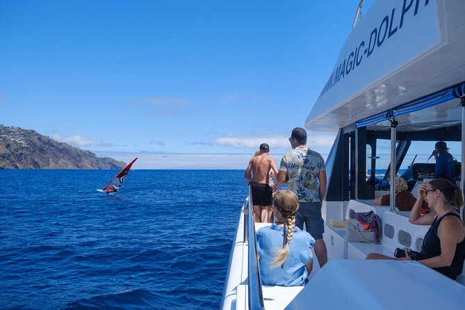 Eco-Friendly Catamaran Dolphin and Whale Watching - How the spotter system finds dolphins and whales faster