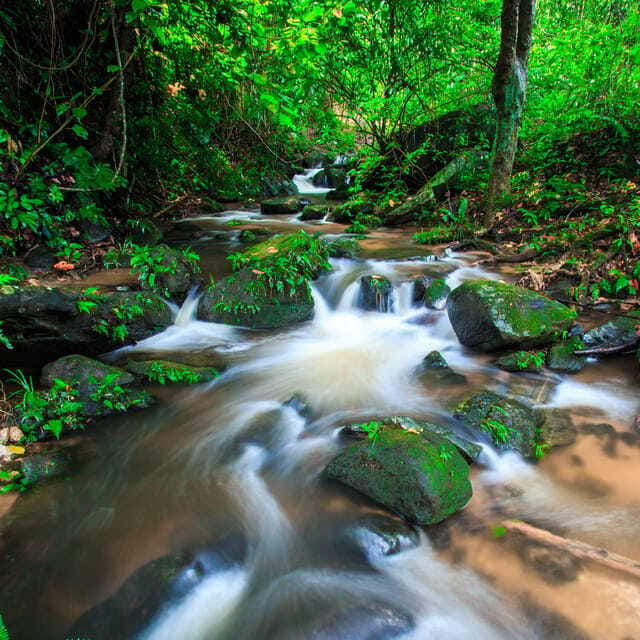 Eco-Friendly: Doi Inthanon & Pha Dok Siew Trekking Day Trip - Who should book (and who should skip) this trekking day trip