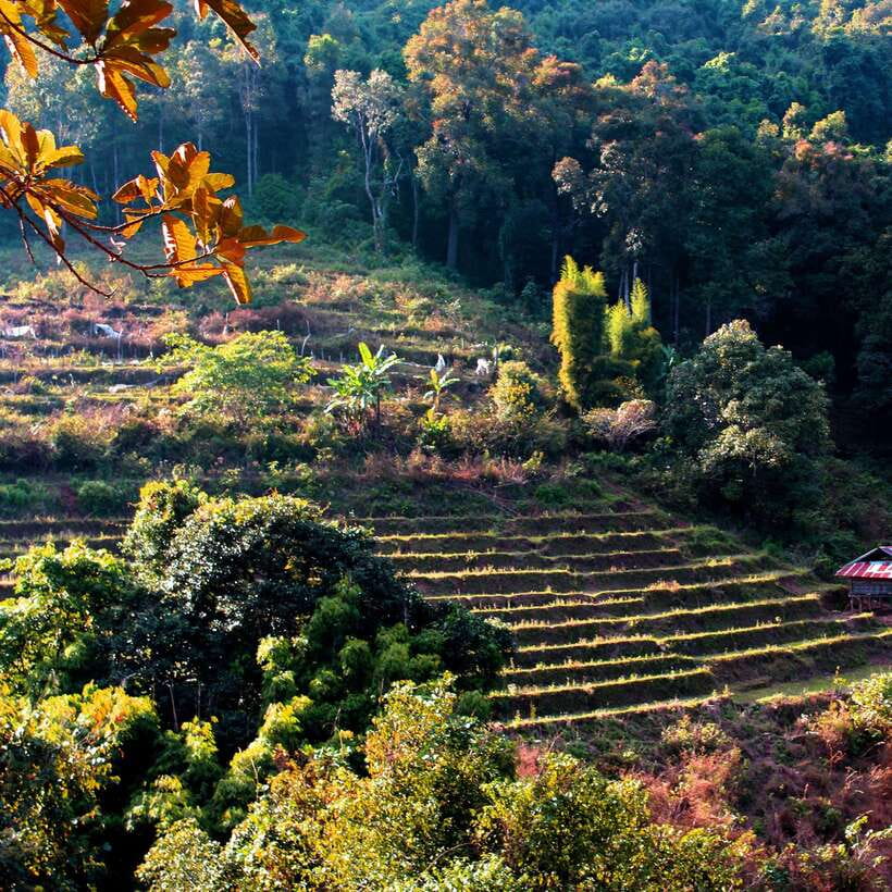 Eco-Friendly: Doi Inthanon & Pha Dok Siew Trekking Day Trip - Getting to Doi Inthanon from Chiang Mai (and why the drive matters)