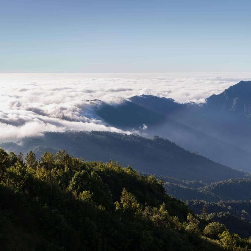 Eco-Friendly: Doi Inthanon & Pha Dok Siew Trekking Day Trip - Mae Klang Luang: White Karen Hill tribe village and coffee roasting plant