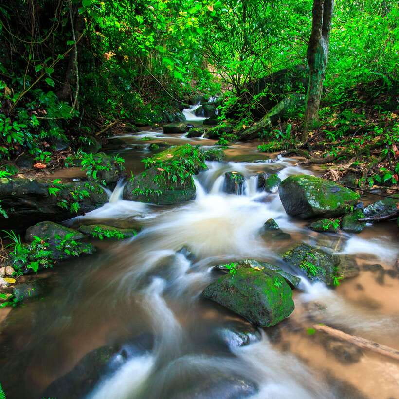 Eco-Friendly: Doi Inthanon & Pha Dok Siew Trekking Day Trip - Pagodas and Thailand’s highest-point feeling