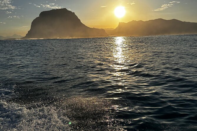 Eco-friendly Dolphin Watching Tour in Mauritius - Price and value: what $471.21 per group really buys