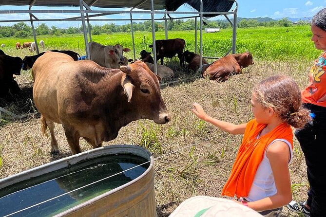Eco Friendly Farming Tour to Explore Dorado's Most Beautiful Farm - Key highlights you shouldn’t miss