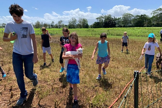 Eco Friendly Farming Tour to Explore Dorado's Most Beautiful Farm - Entering Finca Pastoreo: a Dorado farm tour with real working rhythms