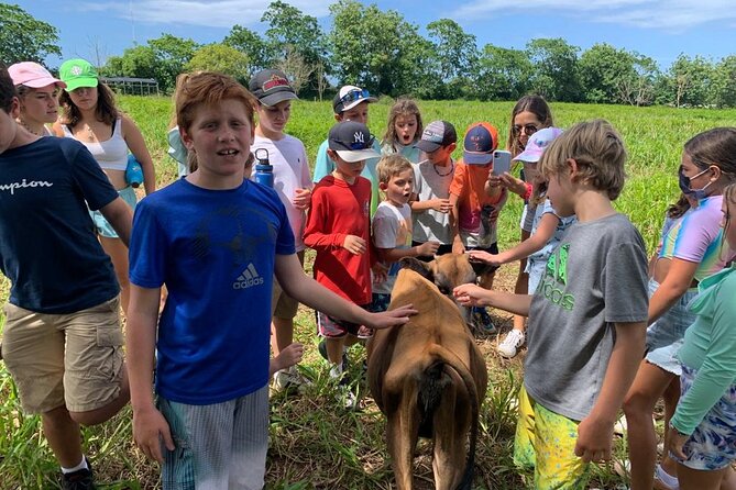 Eco Friendly Farming Tour to Explore Dorado's Most Beautiful Farm - The animal stops: five pasture-raised practices explained close up