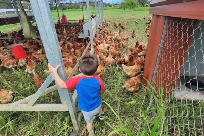 Eco Friendly Farming Tour to Explore Dorado's Most Beautiful Farm - Meeting José Luis at the farm store: where the tour really starts