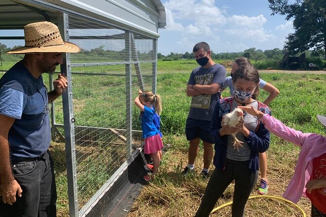 Eco Friendly Farming Tour to Explore Dorado's Most Beautiful Farm - The optional Giant Grass Maze: the 3-mile investigation game