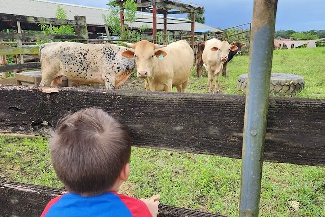 Eco Friendly Farming Tour to Explore Dorado's Most Beautiful Farm - Scheduling with farm shop hours and live music nights