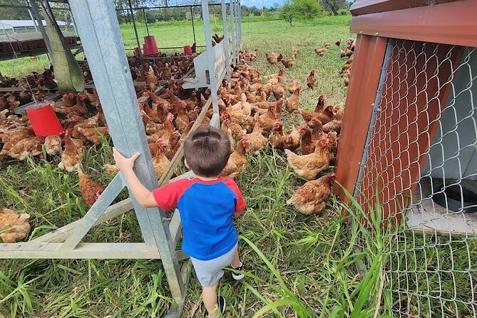 Eco Friendly Farming Tour to Explore Dorado's Most Beautiful Farm - Meeting José Luis at the farm store: where the tour really starts