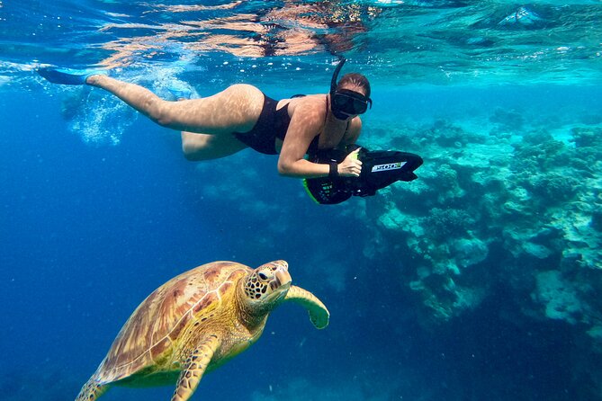 Eco Friendly Sea Scooter Turtle Tour in Rarotonga - Small Groups, Safety Coaching, and the Crew’s Turtle-Spotting Skills