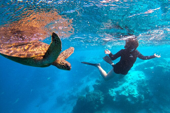 Eco Friendly Sea Scooter Turtle Tour in Rarotonga - Gear, Snacks, and the High-Resolution Photo Delivery
