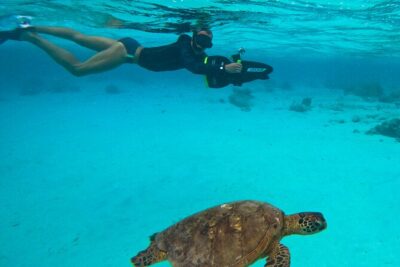 Eco Friendly Sea Scooter Turtle Tour in Rarotonga - The 1.5-Hour Flow: From YWAM Cook Islands to Turtles and Eagle Rays