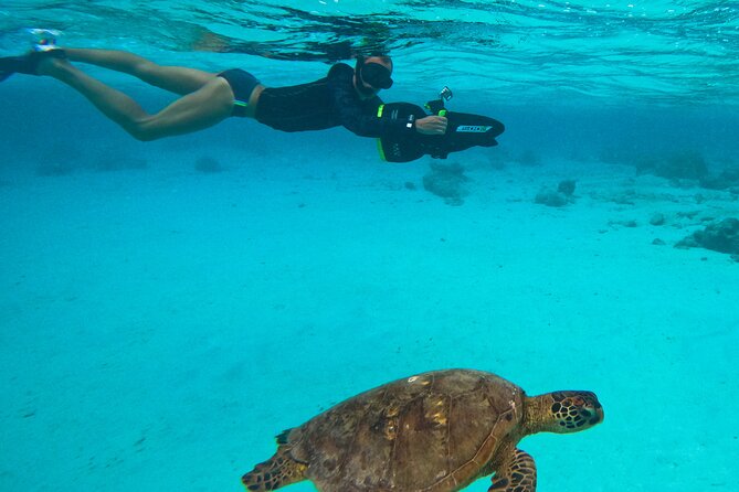 Eco Friendly Sea Scooter Turtle Tour in Rarotonga - The 1.5-Hour Flow: From YWAM Cook Islands to Turtles and Eagle Rays