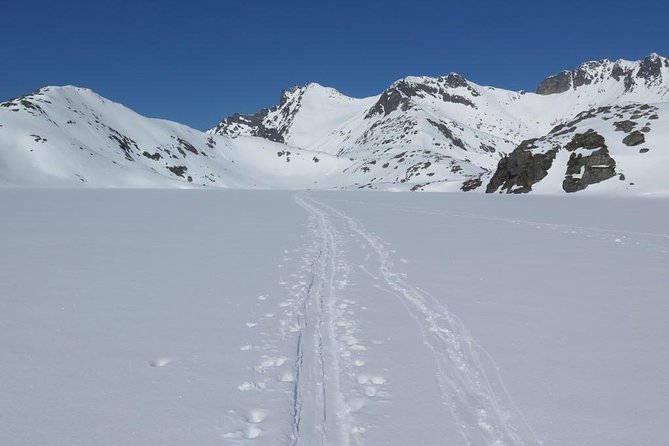 Eco friendly snowshoeing in Scenic Landscape - Polaria: Sea Life Before You Step Into Winter