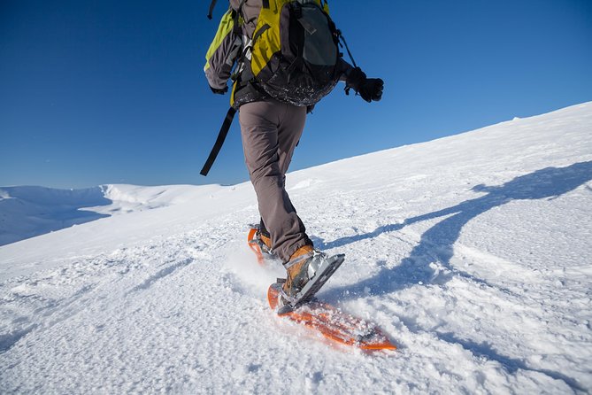 Eco friendly snowshoeing in Scenic Landscape - Prestvannet Lake Snowshoeing: Built for First-Timers