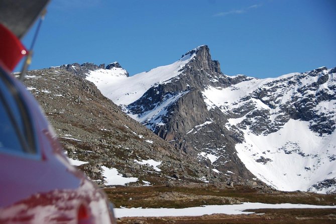 Eco friendly snowshoeing in Scenic Landscape - Price and Value in Tromsø: Is $170.84 Worth It?
