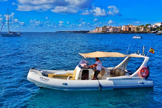 Eco Tour in the South of Tenerife with Snorkeling and Bathing Included - Quick Highlights Before You Go