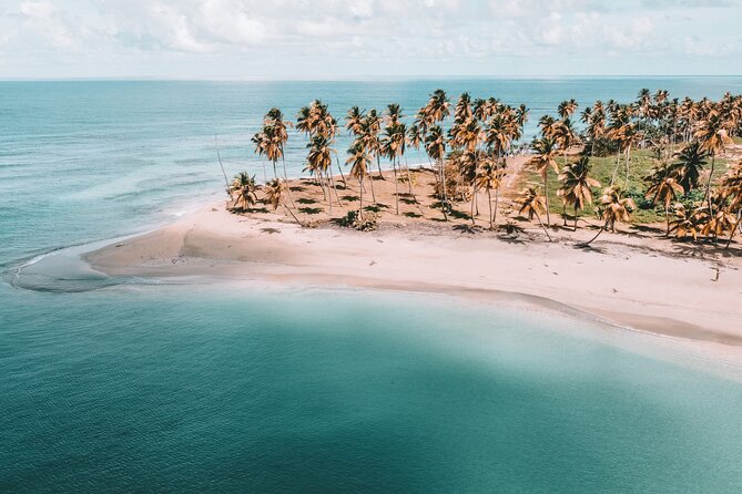 ECO TOUR Playa El Limon (Excursion Multi-activites) - Key highlights you will actually care about