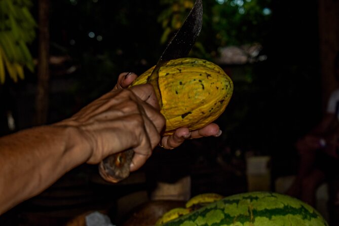 ECO TOUR Playa El Limon (Excursion Multi-activites) - The farm and cacao/chocolate learning: sweet education with a purpose