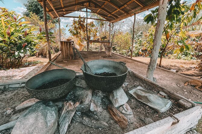 ECO TOUR Playa El Limon (Excursion Multi-activites) - Lunch at Rancho Tipico: included food, not a sad box meal