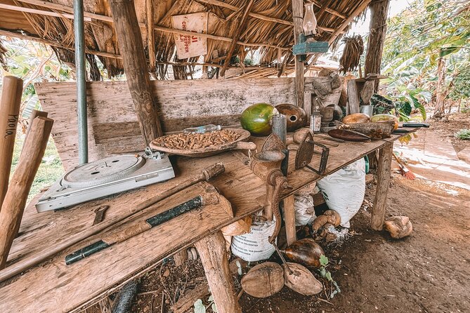 ECO TOUR Playa El Limon (Excursion Multi-activites) - Quad ride to a virgin beach: the adrenaline part that still feels natural