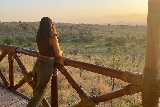 Elephant Safari Tanzania 4 Days **Sustainable Approach to Travel - Who should book this safari, and who should pause?