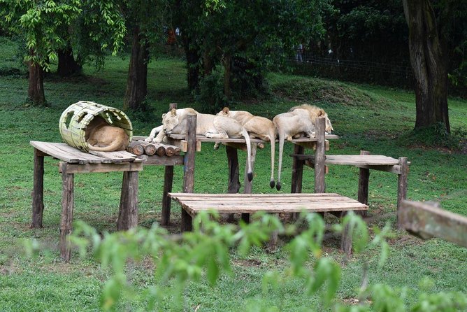 Entebbe Eco Tour - Full Day - The big picture: what a full-day Entebbe eco route is really like
