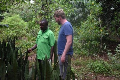 Entebbe Eco Tour - Full Day - Mabamba Swamp and the shoebill: boat transfers, patient birding, big payoff