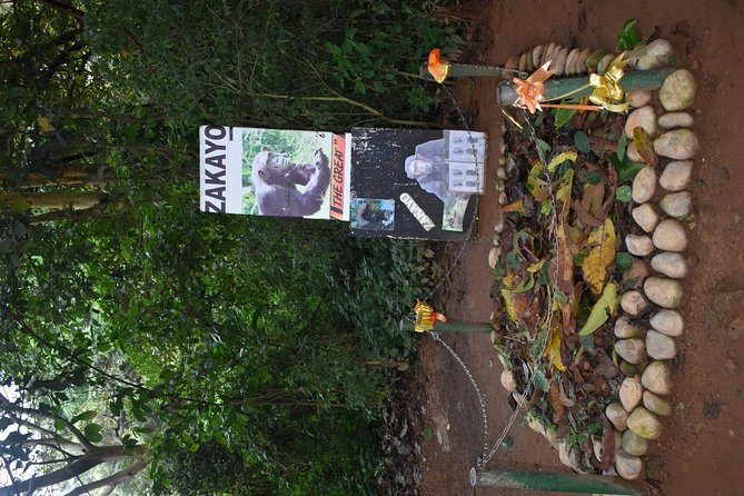 Entebbe Eco Tour - Full Day - Uganda Reptile Village: snakes and crocodiles, explained with an education lens