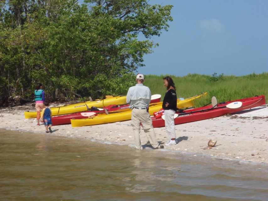 Everglades: Boat Assisted Kayak Eco Tour - Key highlights worth getting excited about