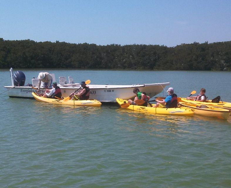 Everglades: Boat Assisted Kayak Eco Tour - Boat cruise: dolphin watching and big-water spotting