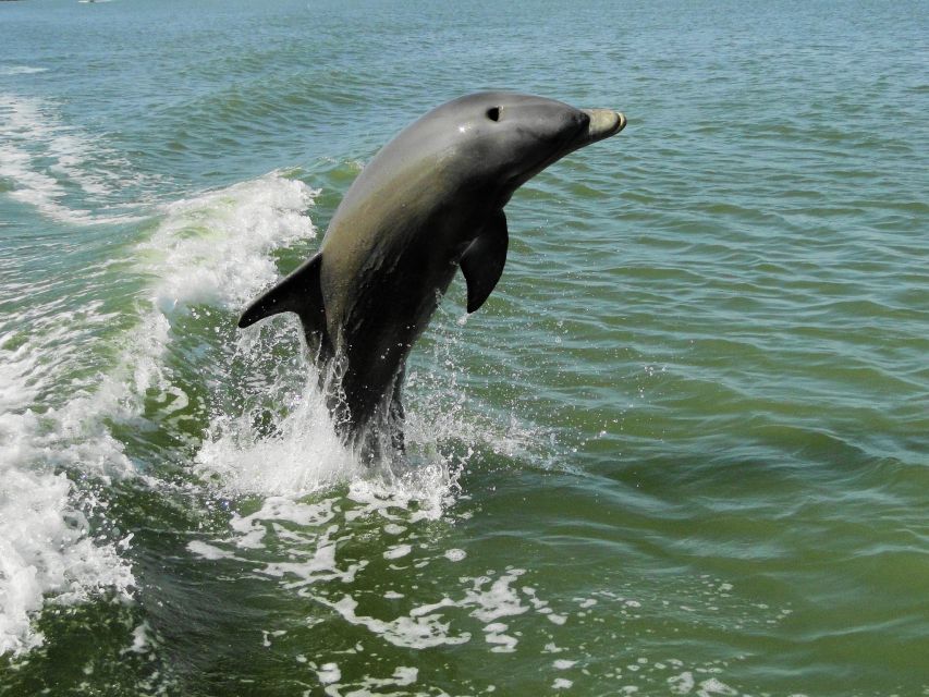 Everglades: Boat Assisted Kayak Eco Tour - How your Master Naturalist shapes the day (and keeps it from feeling canned)